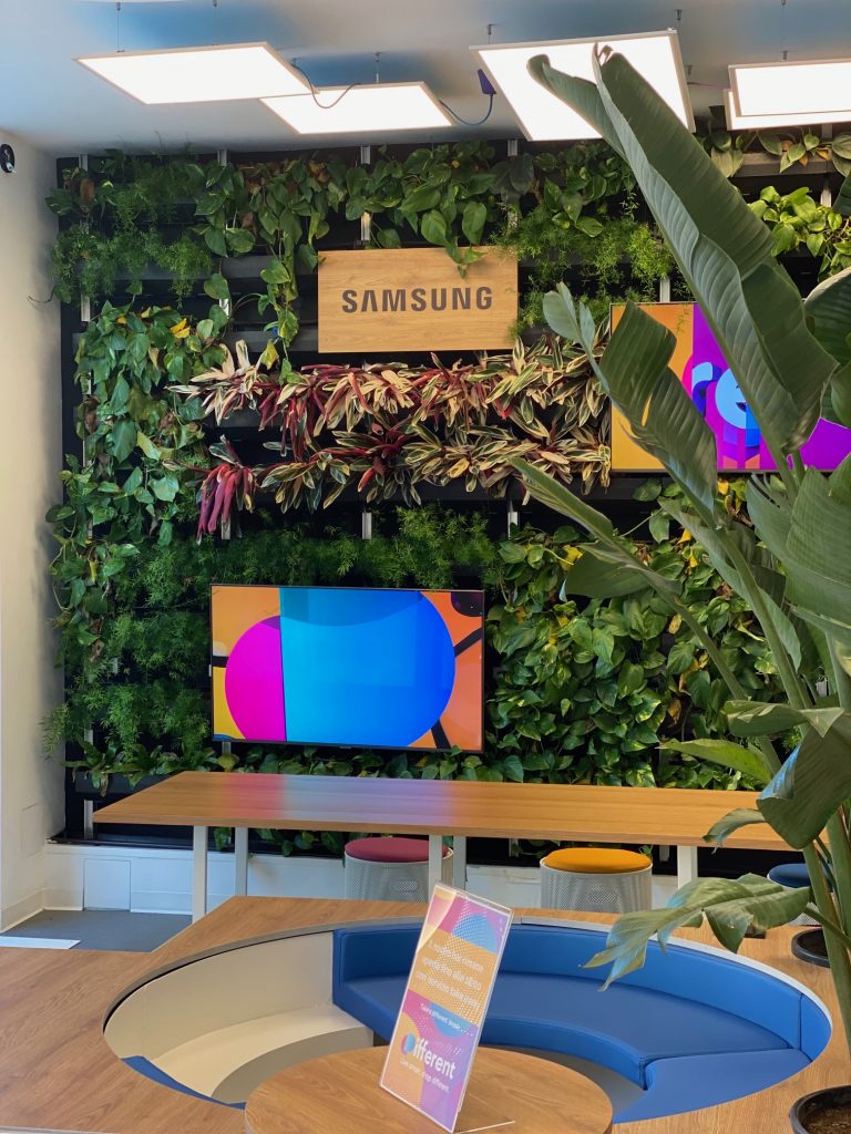Shop Samsung – Firenze – Giardino verticale